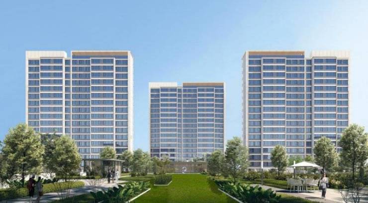 九游娱乐网站：淝河板