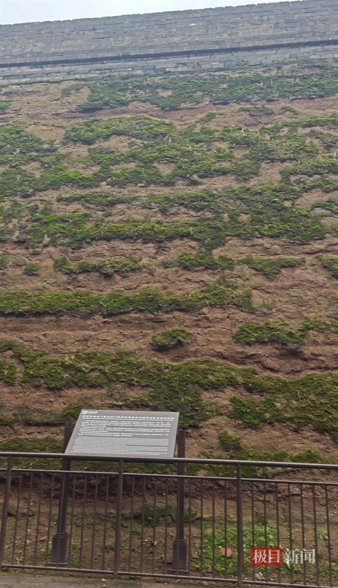 九游娱乐网站：西安连