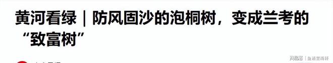 九游娱乐平台：风水轮流转！曾被焦裕禄用来挡风沙的树今成日本乐师眼中的宝贝(图19)