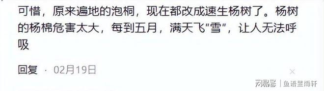 九游娱乐平台：风水轮流转！曾被焦裕禄用来挡风沙的树今成日本乐师眼中的宝贝(图17)